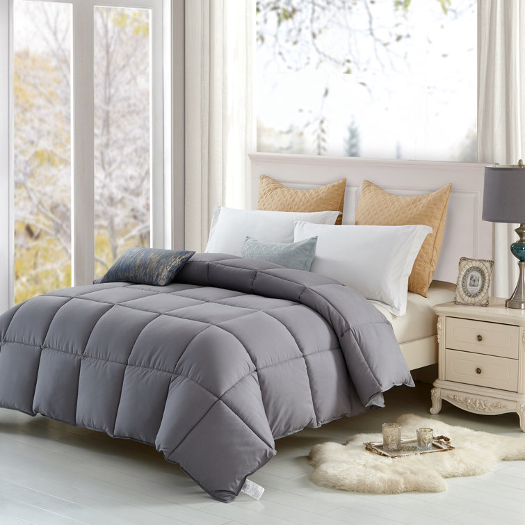 Lavish Comforts Silk Comforter & Reviews Wayfair